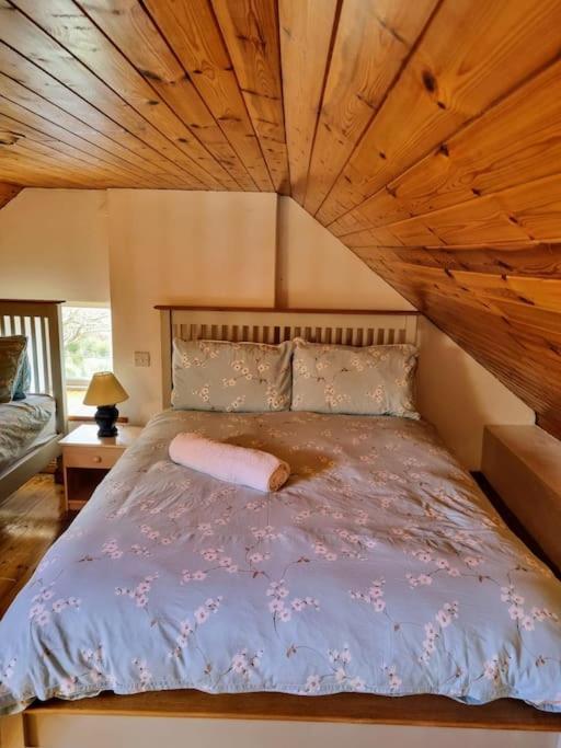 Cottage Skelligs Coast, Ring Of Kerry Cahersiveen Εξωτερικό φωτογραφία