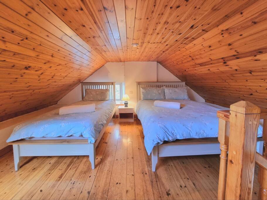 Cottage Skelligs Coast, Ring Of Kerry Cahersiveen Εξωτερικό φωτογραφία