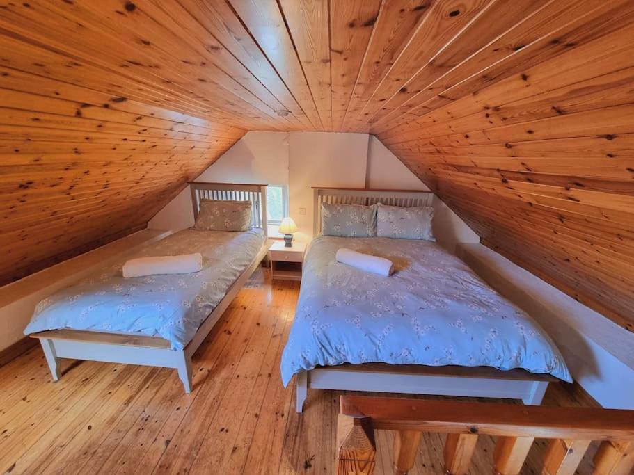 Cottage Skelligs Coast, Ring Of Kerry Cahersiveen Εξωτερικό φωτογραφία
